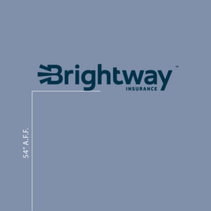 Vinyl Logo