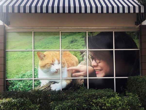 Large format window graphic featuring woman interacting with cat for retail or office branding