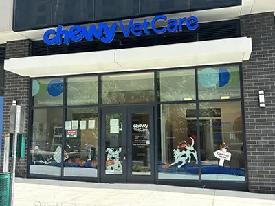 Retail storefront signage for shopping centers and retail businesses